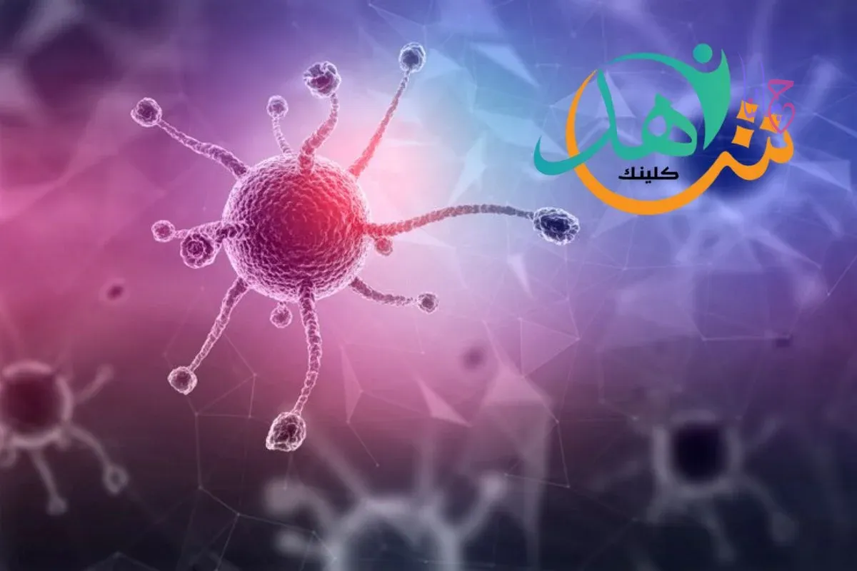 الإدارة العامة للمرور