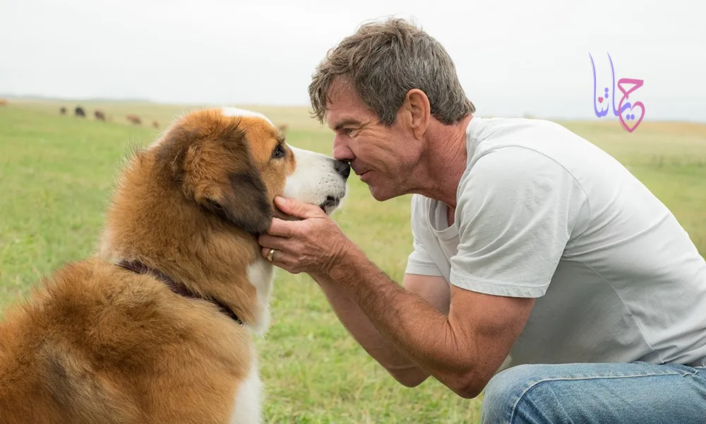 أفلام تعيد الإنسانية من منظور غير بشري