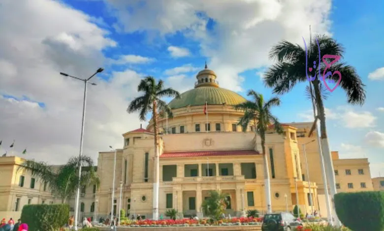 هل تفكر في التحويل من كليتك؟