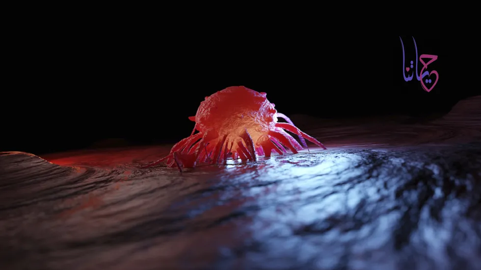 3 أطعمة شائعة تزيد من خطر الإصابة بالسرطان